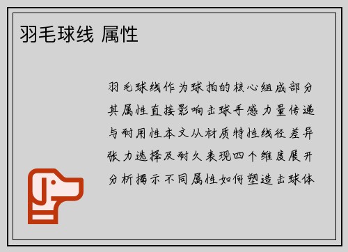 羽毛球线 属性