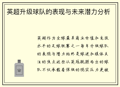 英超升级球队的表现与未来潜力分析