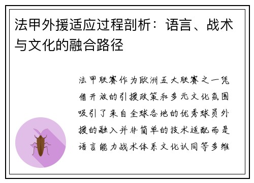 法甲外援适应过程剖析：语言、战术与文化的融合路径